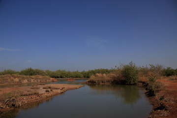 gambia