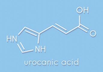 Urocanic acid molecule. Breakdown product of histidine. Skeletal formula.