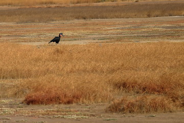 Fototapeta premium gambia travel