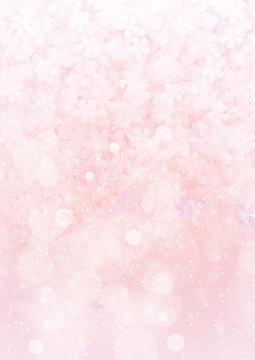 Pink sakura flower, cherry petal pattern wallpaper background