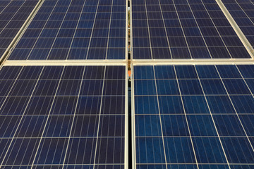 Monocrystalline silicon photovoltaic solar cell panel