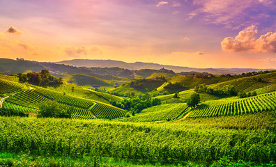 Vue sur les vignobles des Langhe, Castiglione Falletto et La Morra, Piémont, Italie Europe.