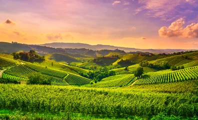 Foto auf Acrylglas Weingarten Langhe Weinberge anzeigen, Castiglione Falletto und La Morra, Piemont, Italien Europa.