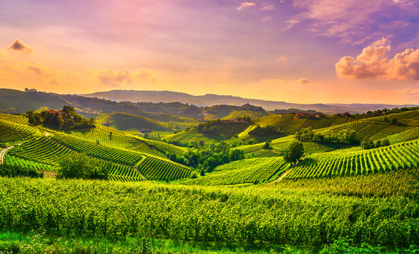 Langhe vineyards view, Castiglione Falletto and La Morra, Piedmont, Italy Europe.