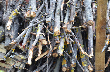 Fototapeta premium log, chopped firewood with an ax, combined firewood, chopping wood. cutting down of spruce wood