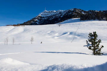 Fototapeta na wymiar Rigi Berg Zentralschweiz mit Winter Anzug