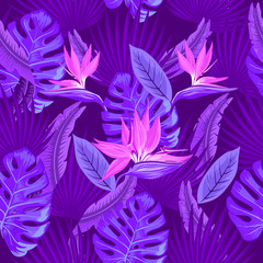 Vector seamless tropical pattern, neon tropical foliage, with leaves of monsters, palm leaves, bird's paradise flower. Trend design.
