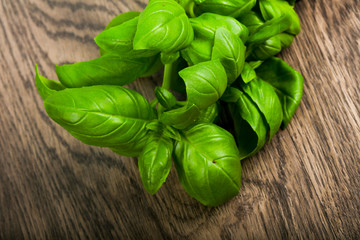 Basil