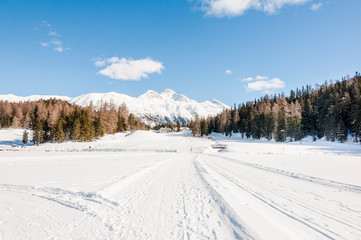 Obraz premium St. Moritz, St. Moritzersee, Stazerwald, Winter, Wintersport, Oberengadin, Alpen, Graubünden, Schweiz