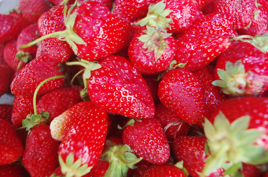 Strawberry berries close up