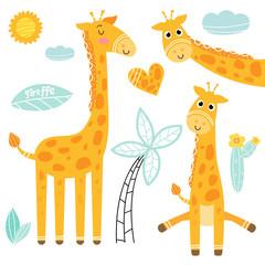 Cartoon giraffe set, vector illustration. © reddish