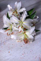 Fototapeta na wymiar Bouquet of white lilies on the background of the floor