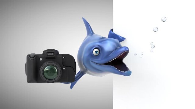 Fun dolphin - 3D Animation