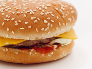 fast food small burger on white background