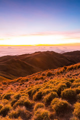 A cloud inversion on top of Mount Pulag, the second highest peak, in the Philippines