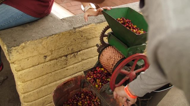 Traditional Coffee Bean Pulper Traditional Hand Cranked