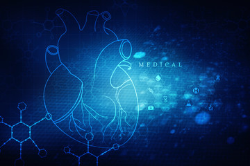 2d illustration  Anatomy of Human Heart 