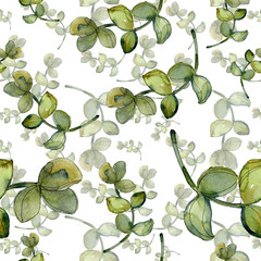Fototapeta na wymiar Jungle botanical succulent floral botanical flower. Watercolor background illustration set. Seamless background pattern.