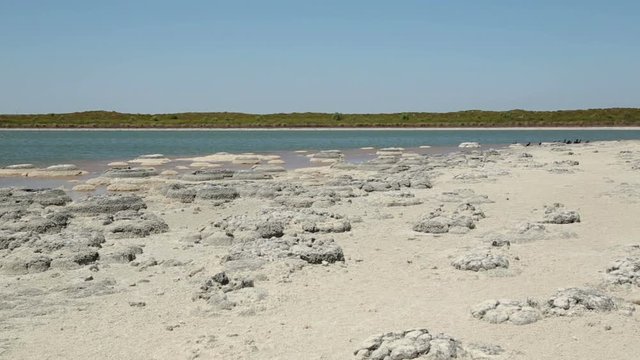 Stromatolites, Lake Thetis, Cervantes, Australia