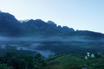 Fog in the morning at Doi Chiang Dao, Thailand, abundance evergreen forest and foggy, Space for text in template, Travel and Ecological concept