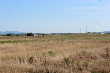 Obraz premium Feld 2