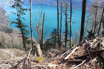 Vierwaldstättersee 3