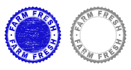 Grunge FARM FRESH stamp seals isolated on a white background. Rosette seals with grunge texture in blue and grey colors. Vector rubber stamp imprint of FARM FRESH tag inside round rosette.