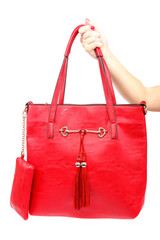 Fashionable women bag in hand on white background