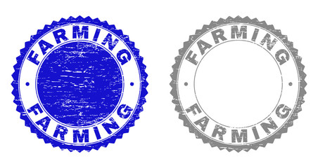 Grunge FARMING stamp seals isolated on a white background. Rosette seals with distress texture in blue and gray colors. Vector rubber stamp imitation of FARMING text inside round rosette.