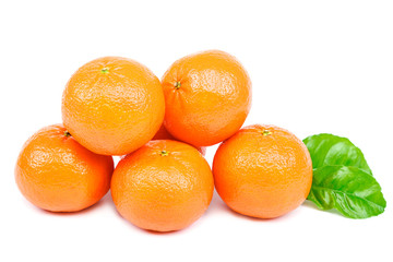 Fresh tangerines isolated on a white background.