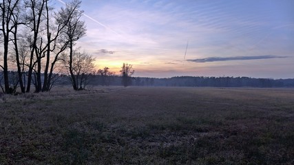 Winterabend im Mönchbruch