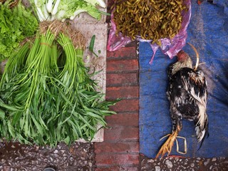 Vegetables and chicken selling at morning market in Luang Prabang, Laos