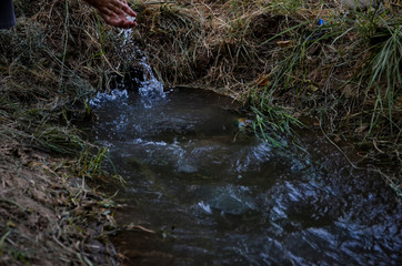 stream water in the forest