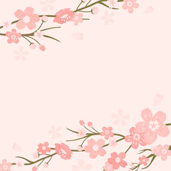 Cherry blossom background illustration