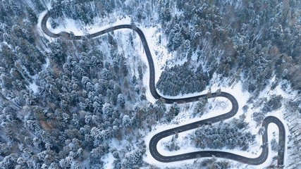 windy road aerial with snow covered trees