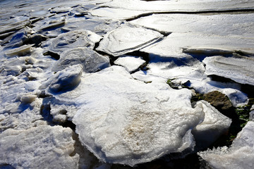 The winter sea ice