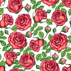 Floral pattern. Rose seamless pattern. Roses hand drawn vector illustration. Vintage design. Roses and leaves illustration. Flower vintage design. Floral illustration.