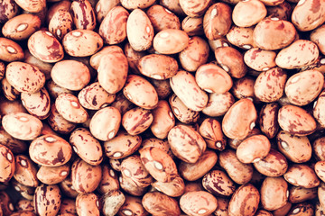 Beans background (Phaseolus) – food for veggies