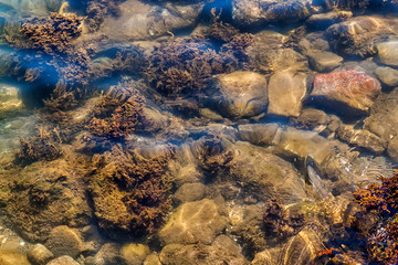 Pure water of the Adriatic Sea