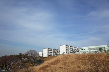 Fototapeta premium 郊外団地