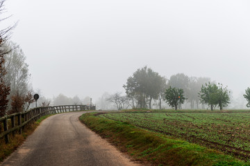 Country Road with fog