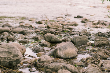 Mountain river. Tranquil scenery in the middle of green forest
