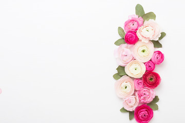 Beautiful colored ranunculus flowers on a white background. Spring greeting card.