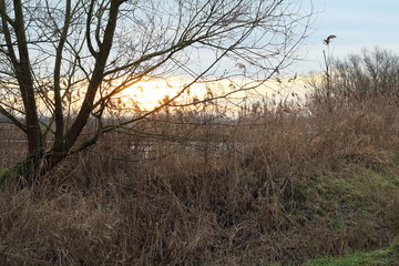 Schöne Landschaft mit Sonne im Hintergrund