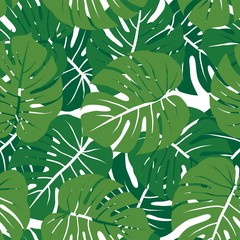 green monochrome monstera leaves graphic exotic seamless pattern on white background