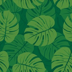 green monochrome monstera leaves graphic exotic seamless pattern on dark background