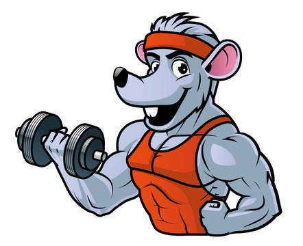 Gym rat  exercising biceps with the dumbbell