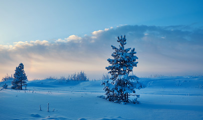 Beautiful Christmas landscape