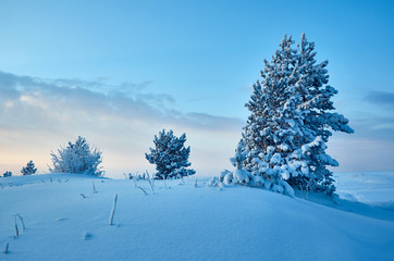 Beautiful Christmas landscape