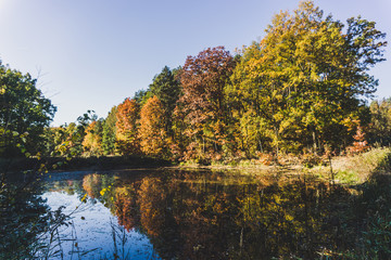 Beautiful autumn view. Forest in lake reflection. Colorful leaves, blue sky.